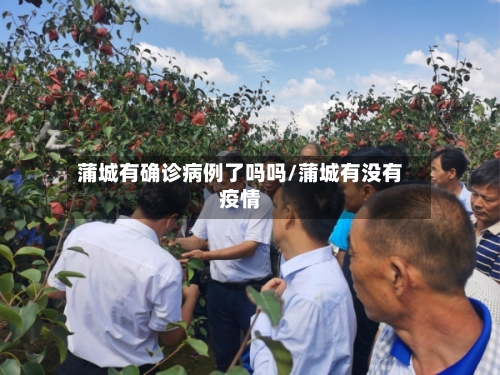 蒲城有确诊病例了吗吗/蒲城有没有疫情-第1张图片