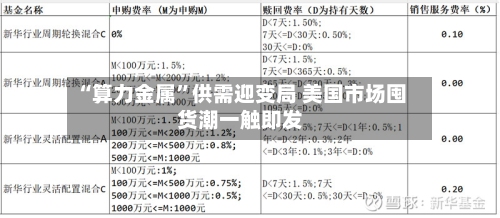 “算力金属	”供需迎变局 美国市场囤货潮一触即发-第1张图片