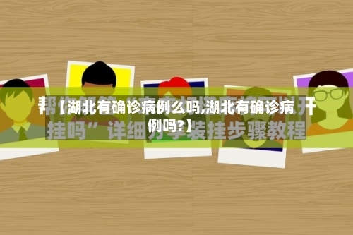 【湖北有确诊病例么吗,湖北有确诊病例吗?】-第3张图片
