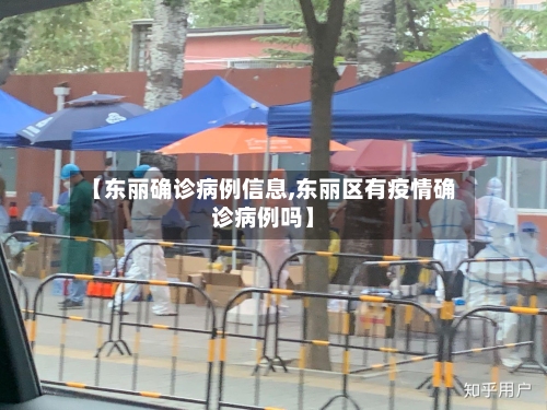 【东丽确诊病例信息,东丽区有疫情确诊病例吗】-第1张图片