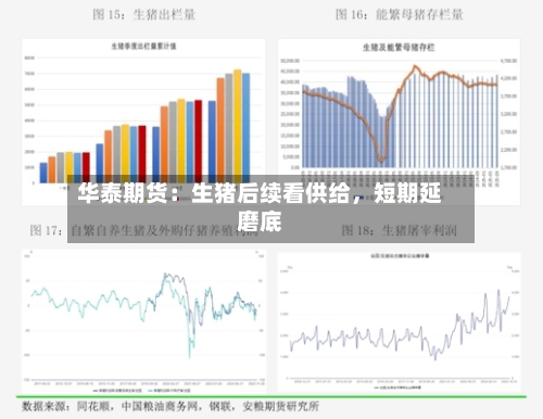 华泰期货：生猪后续看供给，短期延磨底-第1张图片