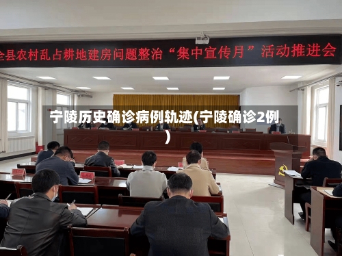 宁陵历史确诊病例轨迹(宁陵确诊2例)-第3张图片