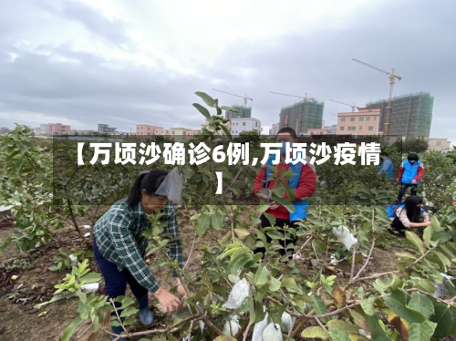 【万顷沙确诊6例,万顷沙疫情】-第1张图片