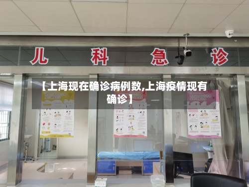 【上海现在确诊病例数,上海疫情现有确诊】-第1张图片