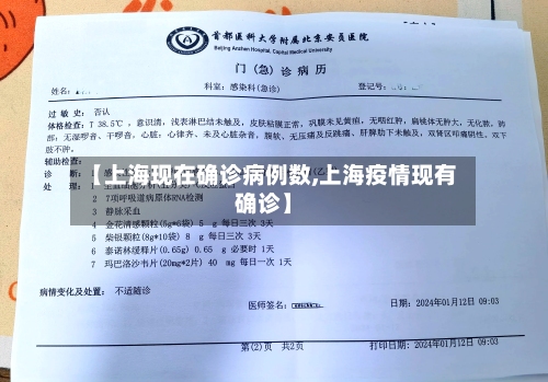 【上海现在确诊病例数,上海疫情现有确诊】-第2张图片