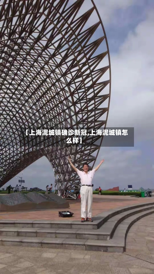 【上海泥城镇确诊新冠,上海泥城镇怎么样】-第1张图片