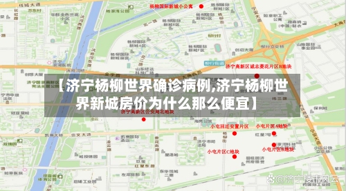 【济宁杨柳世界确诊病例,济宁杨柳世界新城房价为什么那么便宜】-第2张图片
