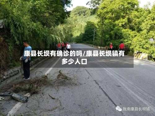 康县长坝有确诊的吗/康县长坝镇有多少人口-第1张图片