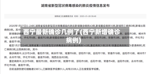 西宁最新确诊几例了(西宁新增确诊病例)-第1张图片